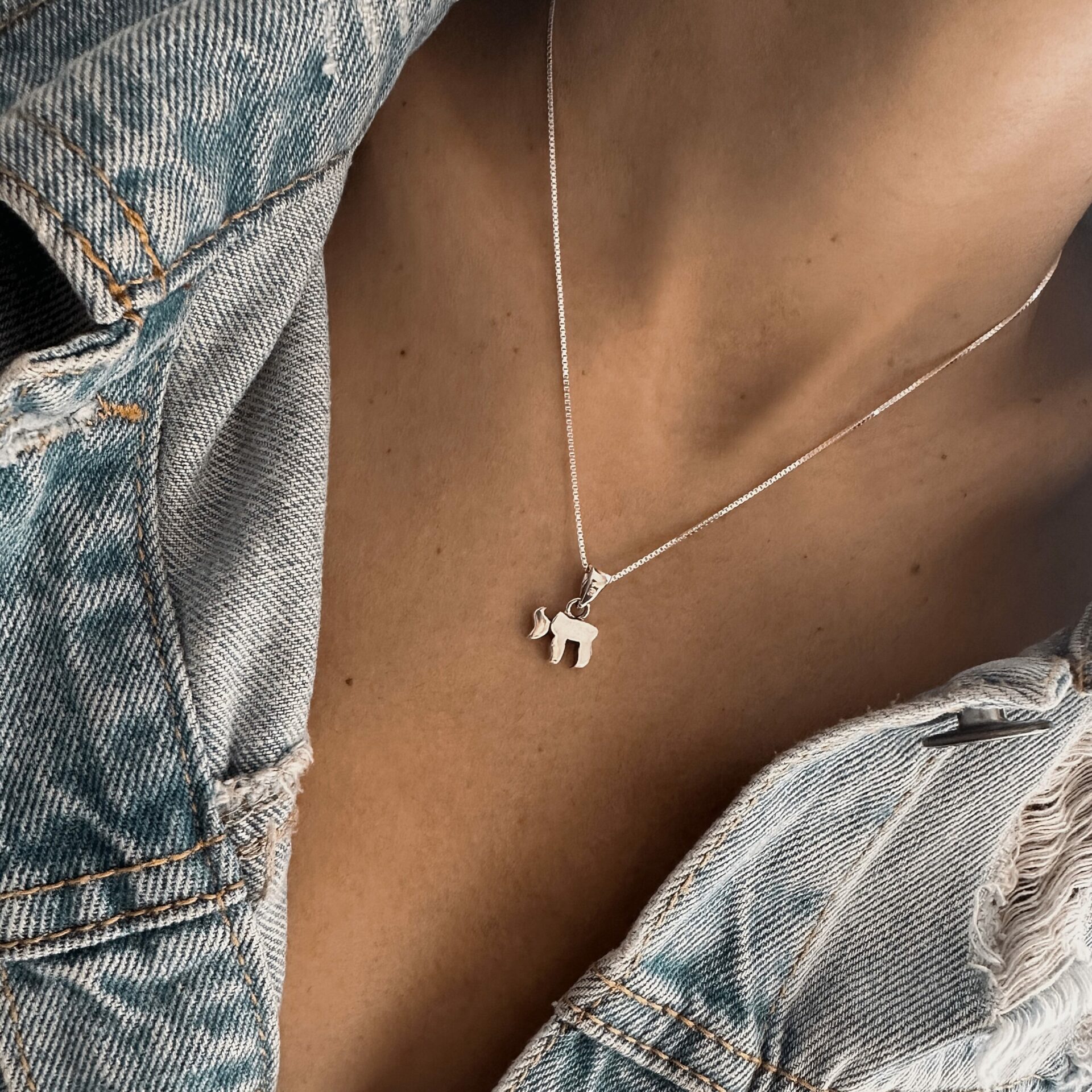 שרשרת חי ציון